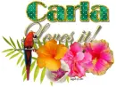 Tropical loves it- Carla