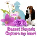 Basset Hound love- Jessi
