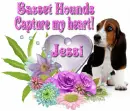 Basset Hound Love 2_Jessi