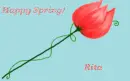 Happy Spring - Rita
