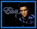 ELVIS