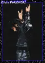 Elvis-Elvis FOREVER!