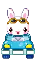 bunny