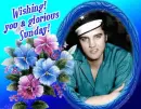 Elvis-Wishing you a glorious Sunday!