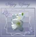 Happy Spring