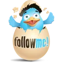 follow me