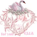 glitter graphics  misk