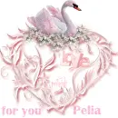 glitter text pesonal
