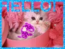 GLITTER CAT