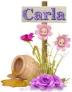 Sweet Flowers- Carla