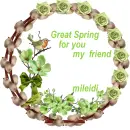 glitter graphics  misk