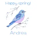 Spring bluebird - Andrea