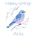 Spring bluebird - Ania