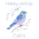 Spring bluebird - Cathi