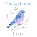 Spring bluebird - Fran