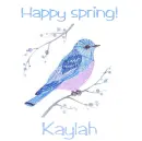 Spring bluebird - Kaylah
