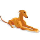 Nice dog