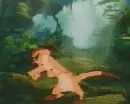 timon