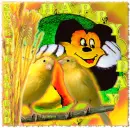 Happy day