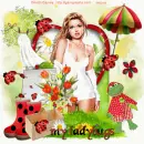 my ladybugs