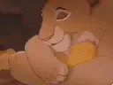 simba -baby
