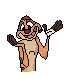 timon