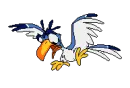 saso