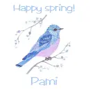 Spring bluebird - Pami