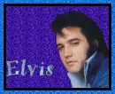 ELVIS