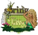 Tabby