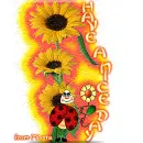 Have a nice day