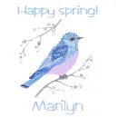 Spring Bluebird - Marilyn