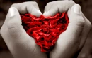 You have my heart