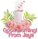 Love my Coffee-Jaya