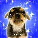 GIULIANA'S PAGE 