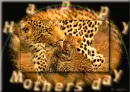 Happy Mothers Day