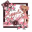 Aggela