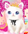 pinkcat