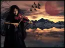violin of dreams  