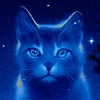 Warrior cat spirit