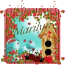 Spring/marilyn ladybugs