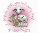 I wish you a lovely Day Heather