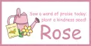 Plant Kindness - Rose