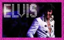 ELVIS