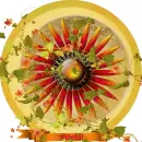 Glitter Graphics  misk 