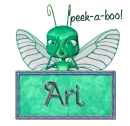 Peek-a-Boo Ari