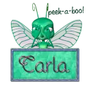 Peek-a-Boo Carla