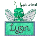 Peek-a-Boo Lynn