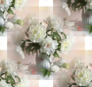 Backgrounds