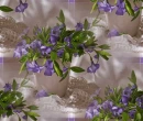 Backgrounds